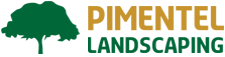 pimentel Logo